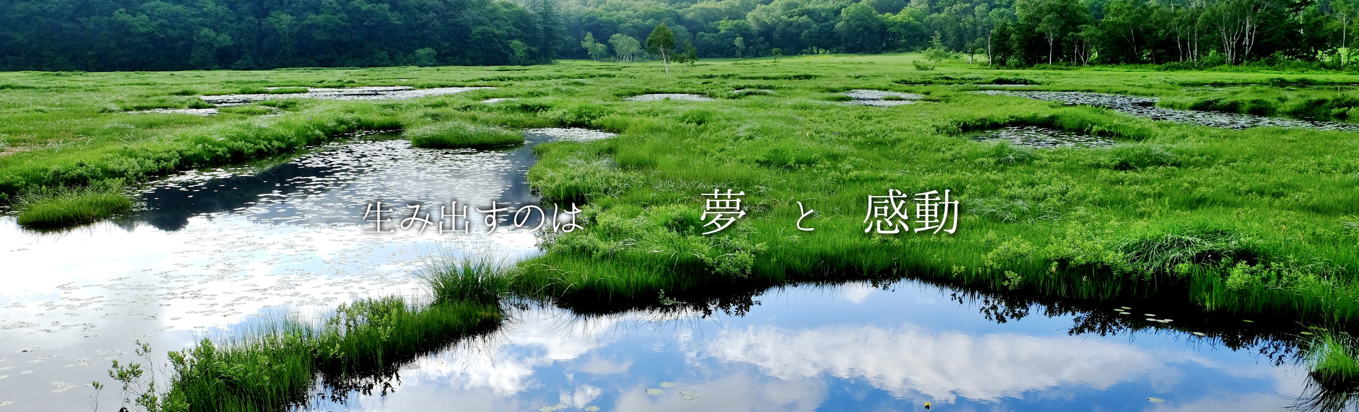 ���߽Ф��Τϡ�̴�פȡִ�ư��